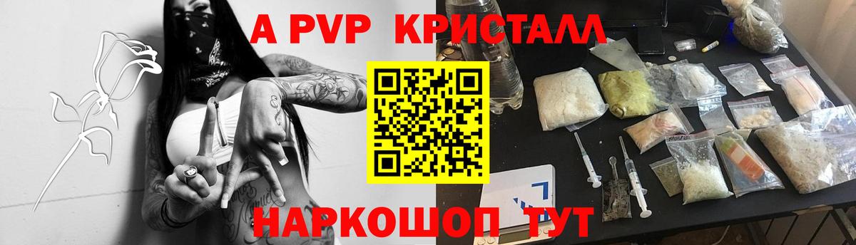 Alfa_PVP СК КРИС Калуга